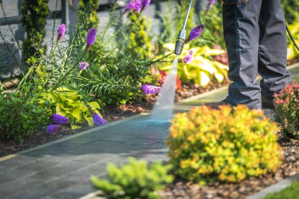 Best Fence Cleaning  in Watauga, TX